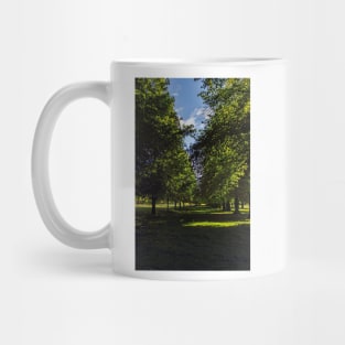 Avenue of trees Mug